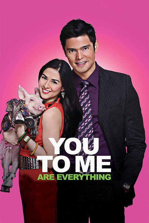 Movie poster for You to Me Are Everything (2010)