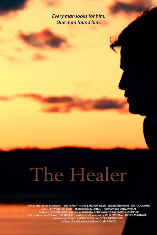 Movie poster for The Healer (2016)