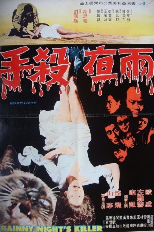 Movie poster for Rainy Night's Killer (1974)