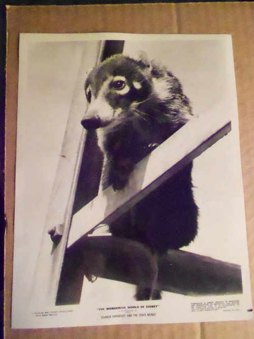 Movie poster for Charlie Crowfoot and the Coati Mundi (1971)