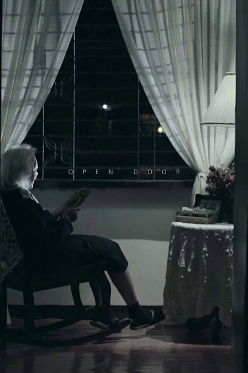 Movie poster for An Open Door (2016)