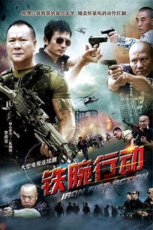 Series poster for Ironhanded Action (2013)