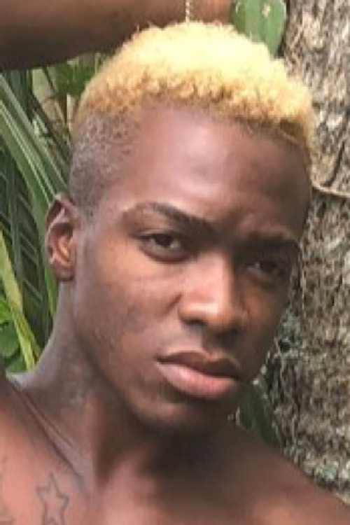 Photo of Kendall West, Acting