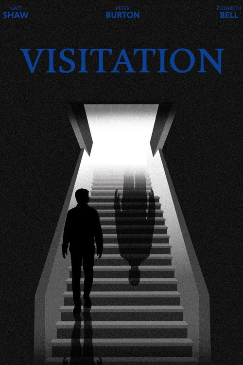 Movie poster for Visitation (2026)