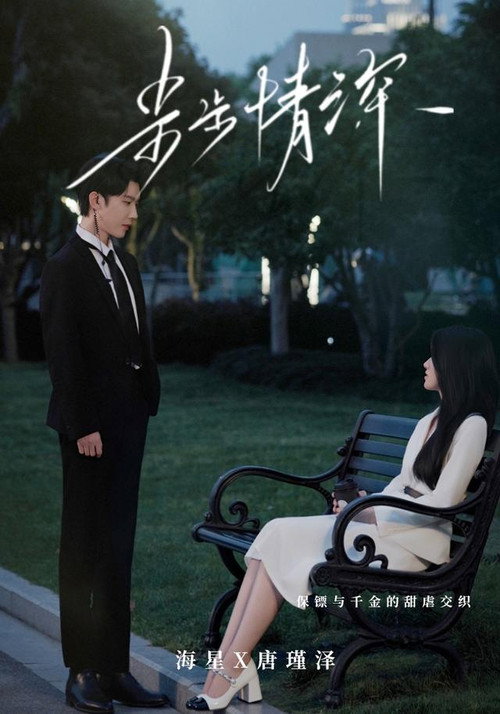 步步情深 poster