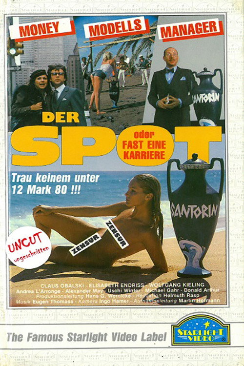 Movie poster for Der Spot oder Fast eine Karriere (1981)
