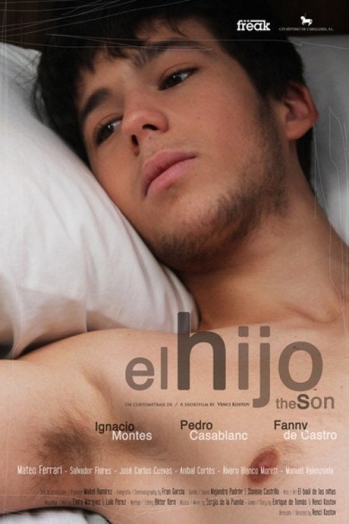 Movie poster for The Son (2012)