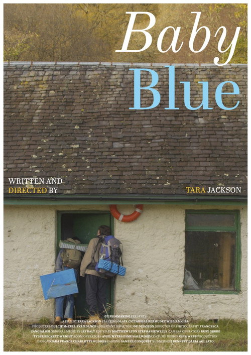Movie poster for Baby Blue (2025)