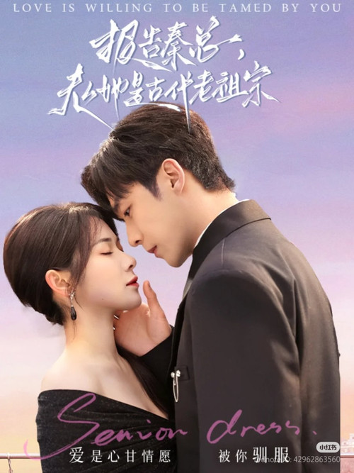 报告秦总, 夫人她是古代老祖宗 poster