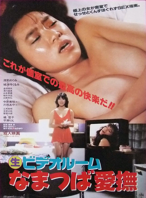 Movie poster for (Marunama) Video Room: Namatsuba Aibu (1986)
