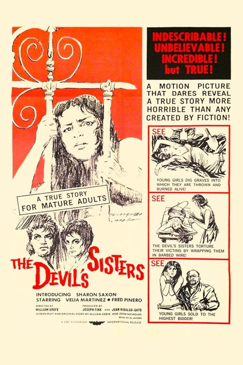 Movie poster for The Devil's Sisters (1966)