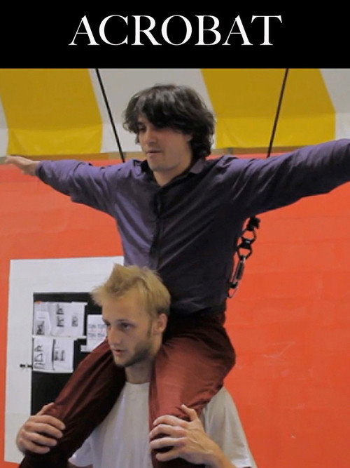 Movie poster for Acrobat (2012)