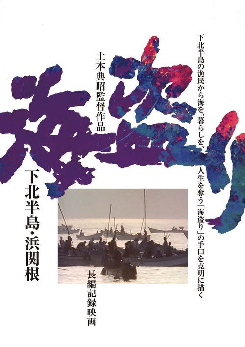 Movie poster for The Stolen Sea (1984)