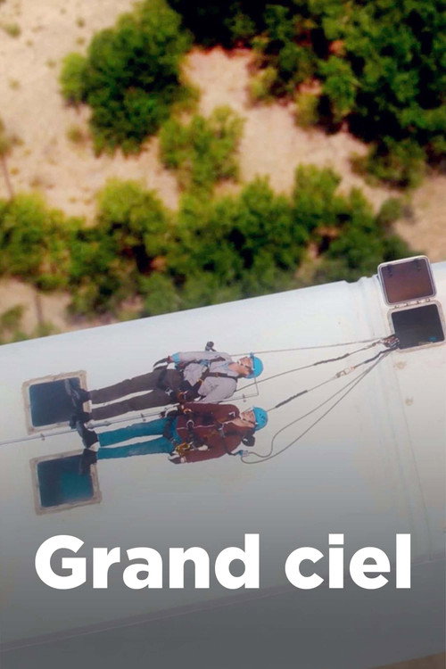 Movie poster for Grand ciel (2022)