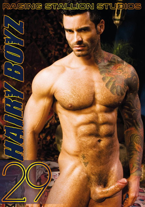 Movie poster for Hairy Boyz 29 (2013)