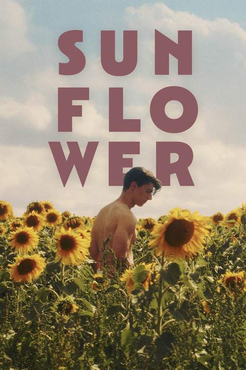 Movie poster for Sunflower (2024)