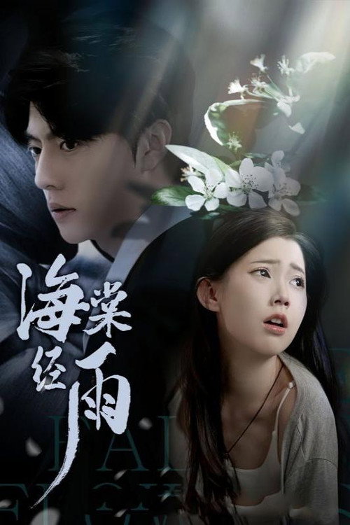 Series poster for 海棠经雨 (2024)