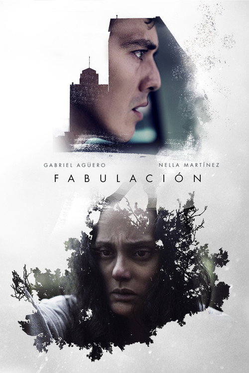 Movie poster for Fabulación (2017)