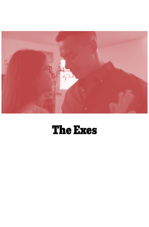 Movie poster for The Exes