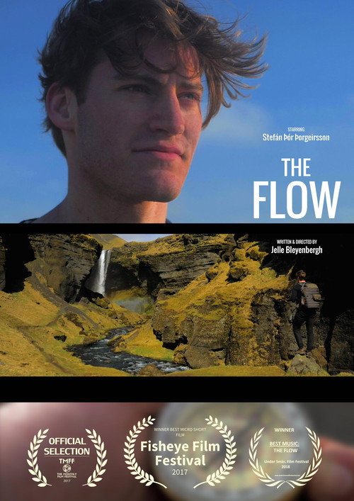 Movie poster for The Flow (2017)