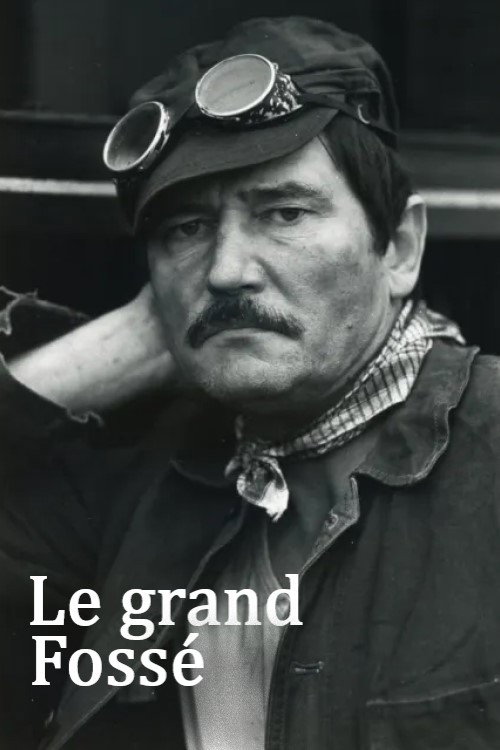 Movie poster for Le Grand Fossé (1980)