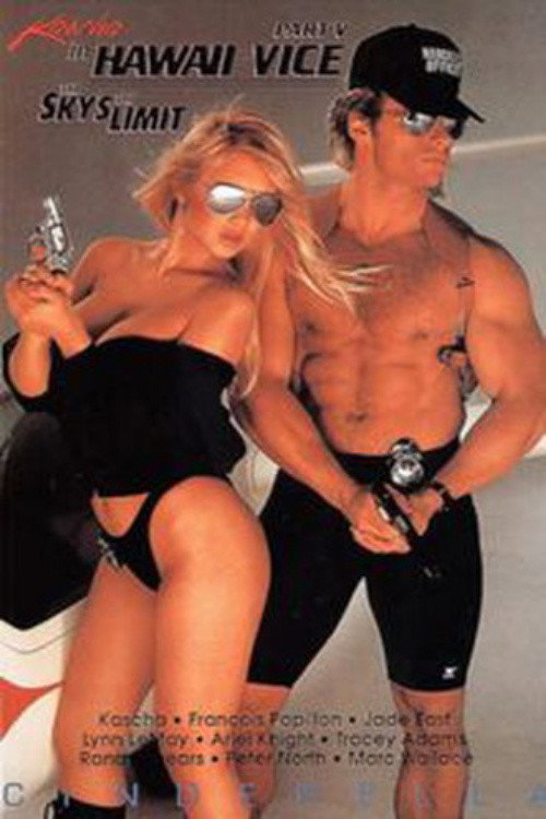 Movie poster for Hawaii Vice 5 (1989)