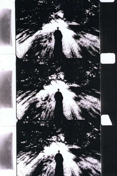 Movie poster for Imaginary Light (1994)