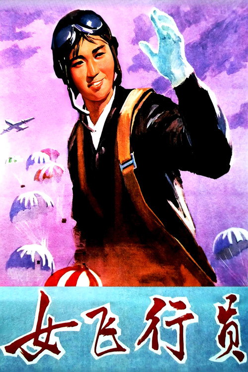 Movie poster for Female Pilot (1966)