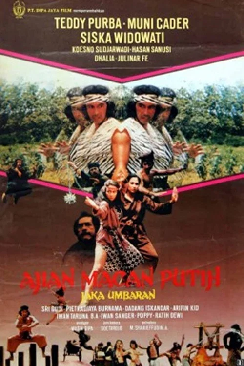 Movie poster for Charm of the White Tiger (1982)