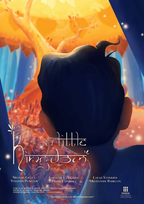 Movie poster for A Little Kingdom (2015)