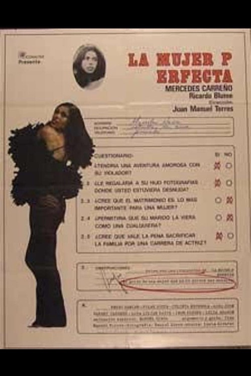 Movie poster for The Perfect Woman (1979)
