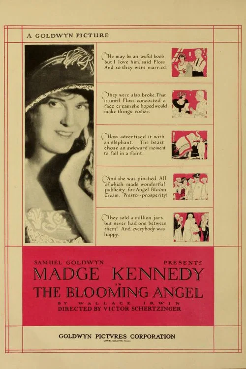 Movie poster for The Blooming Angel (1920)