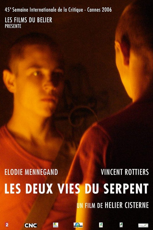 Movie poster for Second Skin (2006)