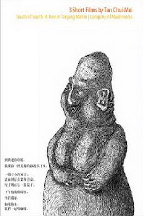 Movie poster for South of South (2005)