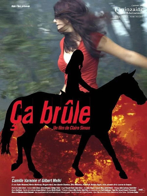 Movie poster for Ça brûle (2006)