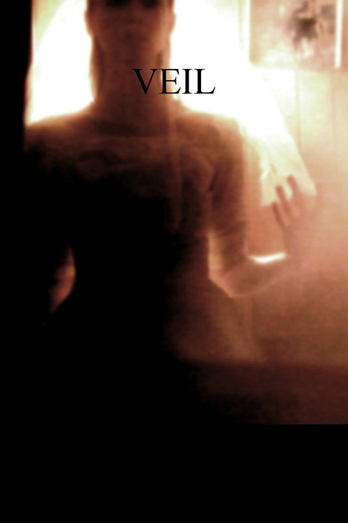 Movie poster for Veil (2014)