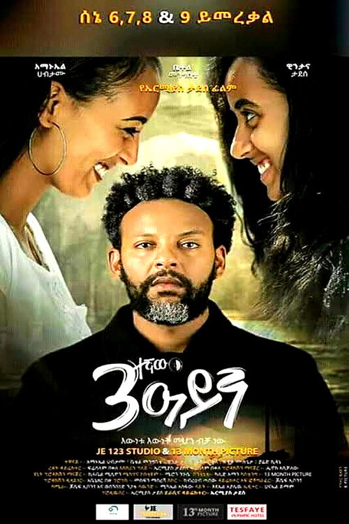 Movie poster for The Third Eye (2020)
