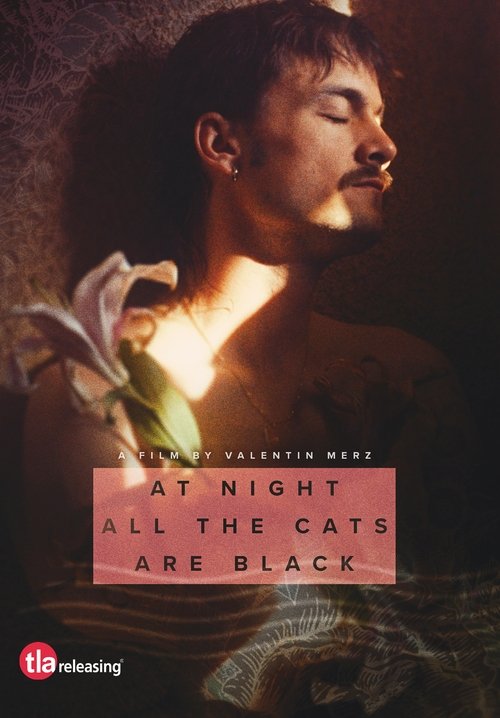 Movie poster for At Night All the Cats Are Black (2023)