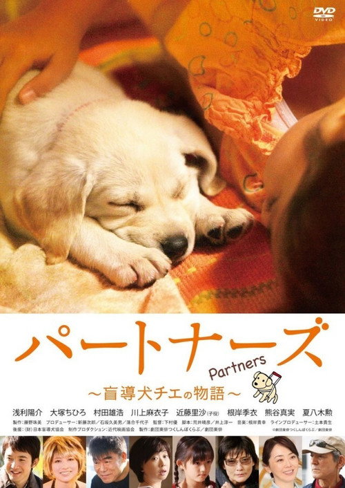 Movie poster for Partners (2010)