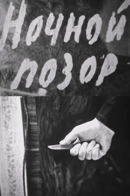Movie poster for Nocturnal Shame (1964)