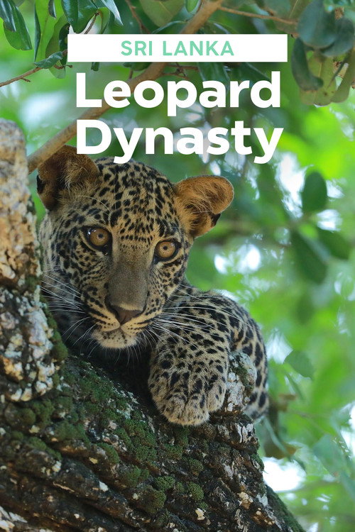 Movie poster for Sri Lanka: Leopard Dynasty (2022)