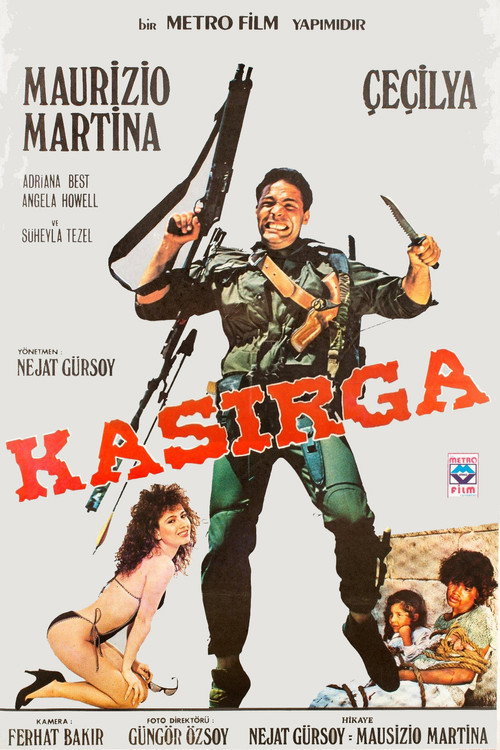 Movie poster for Kasırga - Rakeos (1986)