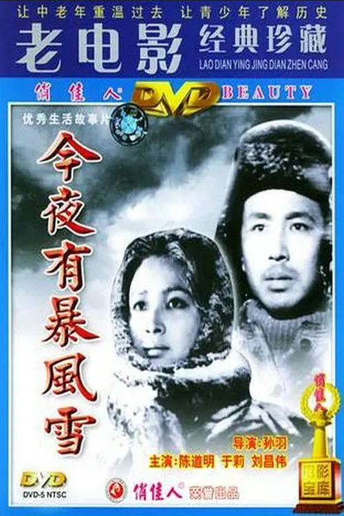 Movie poster for A Storm Will Come Tonight (1984)