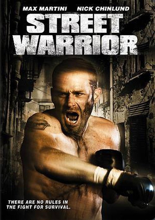 Movie poster for Street Warrior (2008)