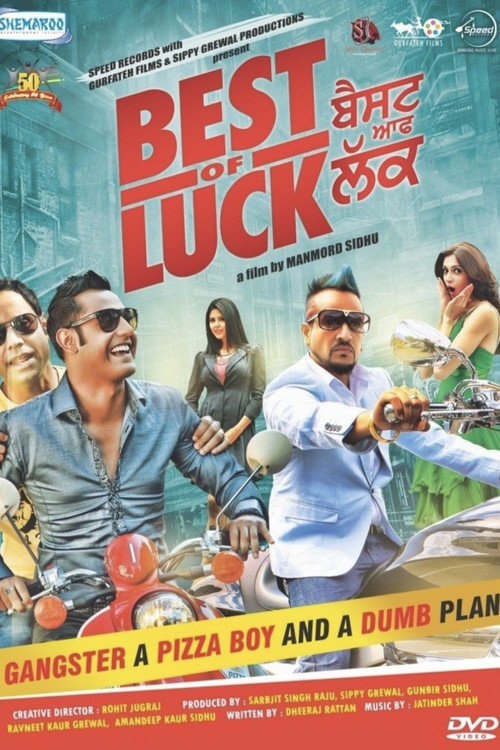 Movie poster for Best of Luck (2013)