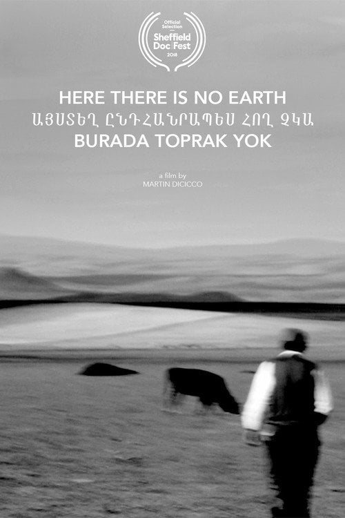 Movie poster for Here There Is No Earth (2018)
