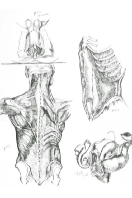 Movie poster for Médicalement (2005)