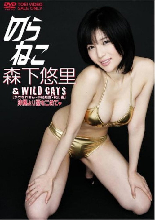 Movie poster for のらねこ 森下悠里 & WILD CAT’S/かでなれおん・中村知世・秋山優 沖縄より愛をこめて (2008)