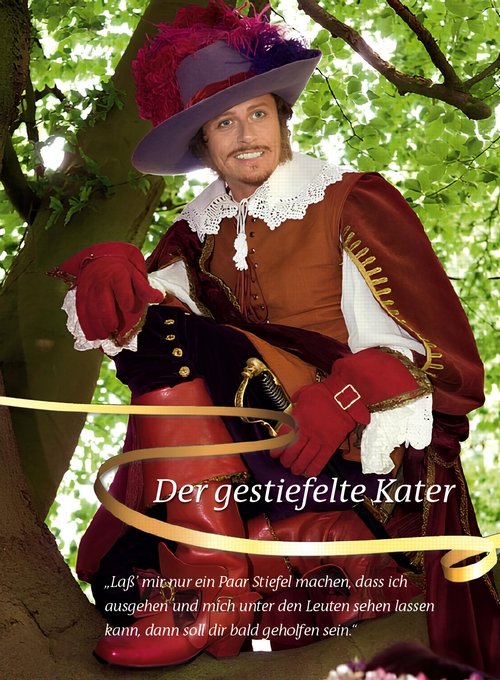 Movie poster for Der gestiefelte Kater (2009)