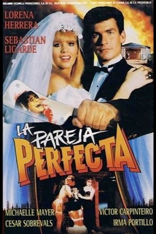 Movie poster for The Perfect Couple (1991)